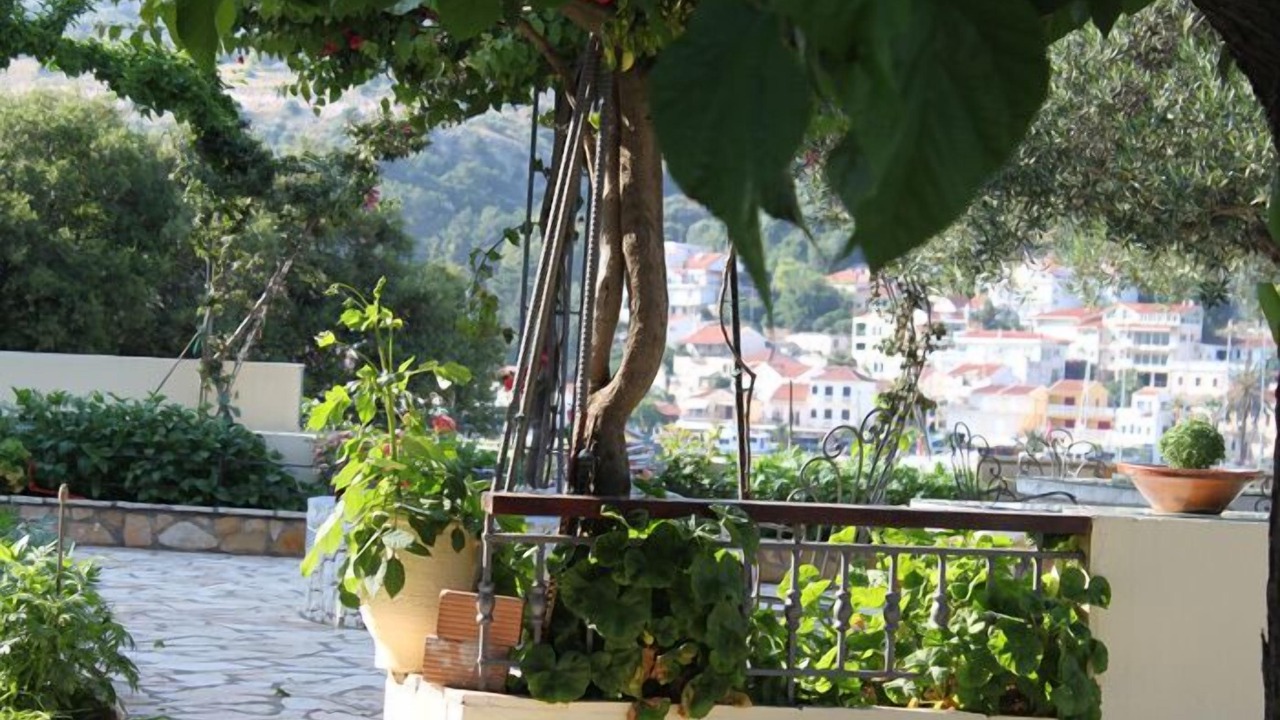 Photo of Outdoor in Agia Efimia