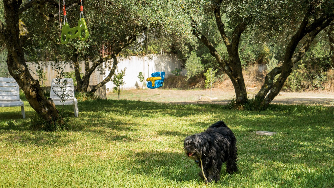 Photo of Outdoor in Kaligata