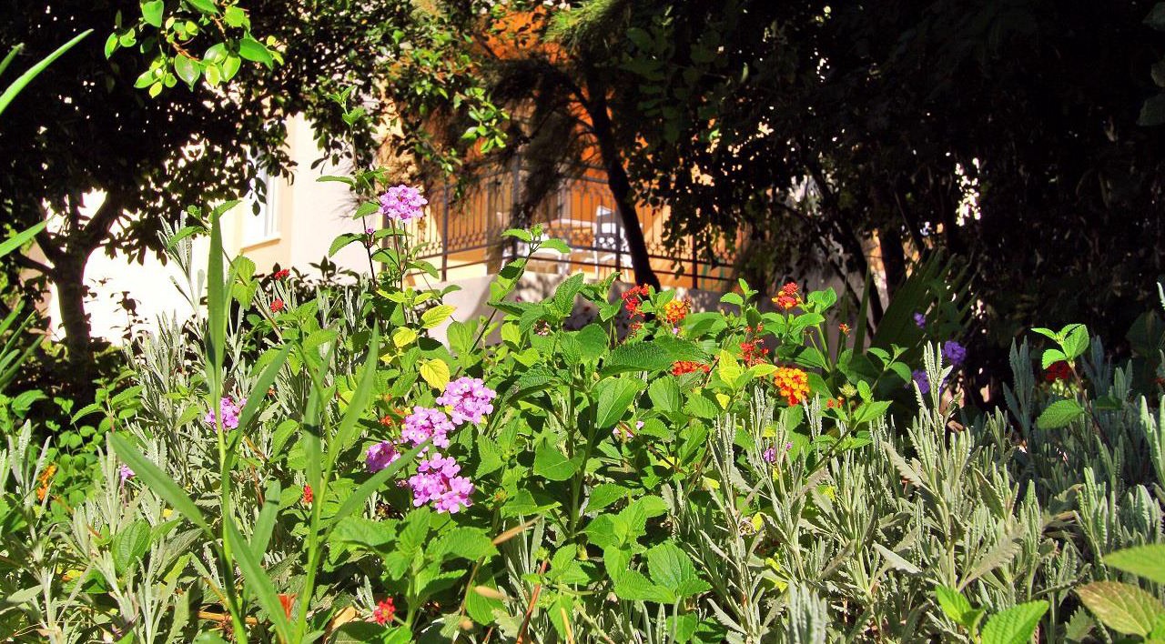 Photo of Outdoor in Frangokastellon