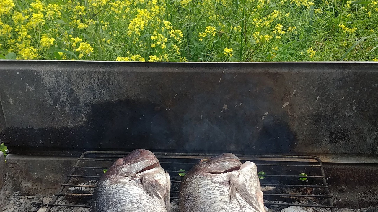 Photo of Outdoor in Knosos