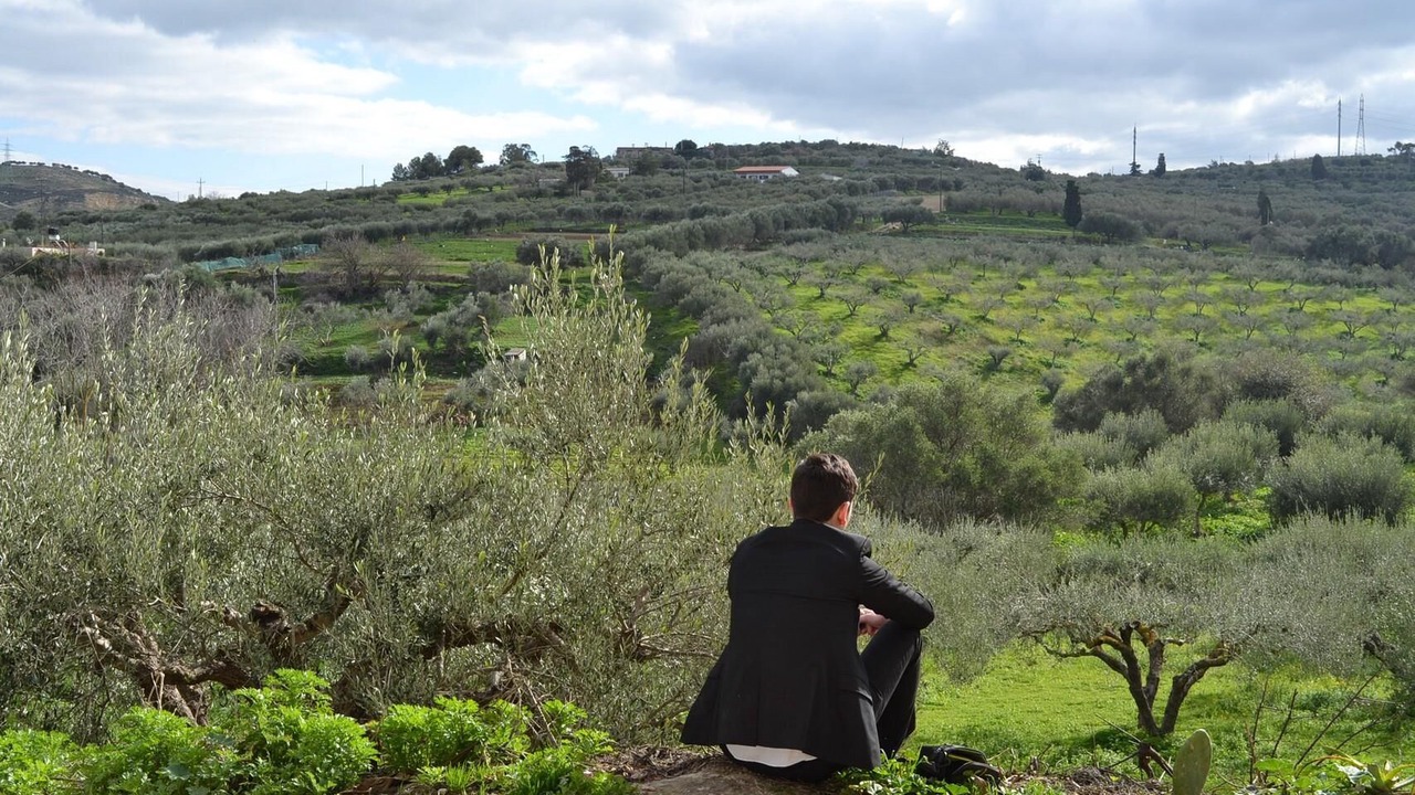Photo of Outdoor in Knosos