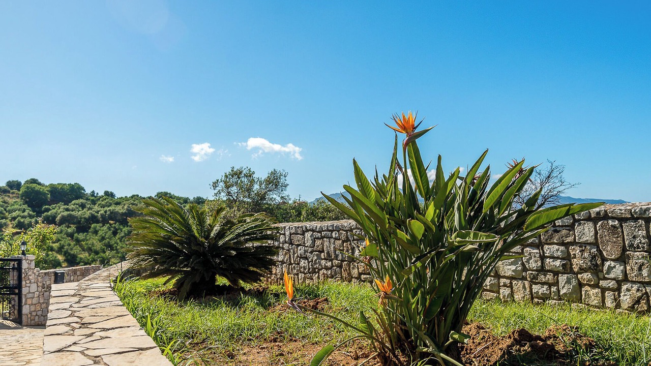 Photo of Outdoor in Polemarchi