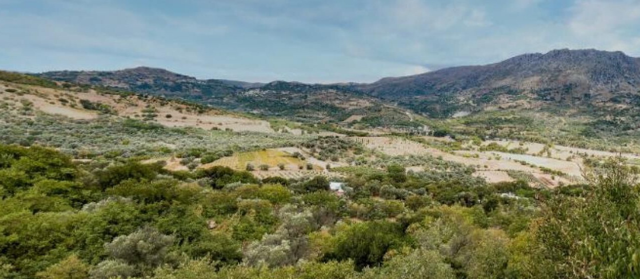 Photo of Outdoor in Amari