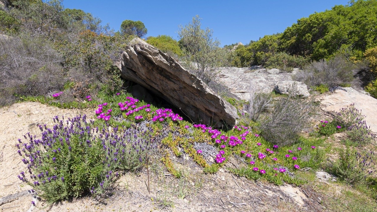 Photo of Outdoor in Elia