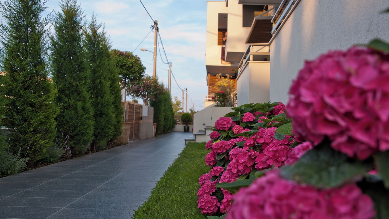 Photo of Outdoor in Stavros
