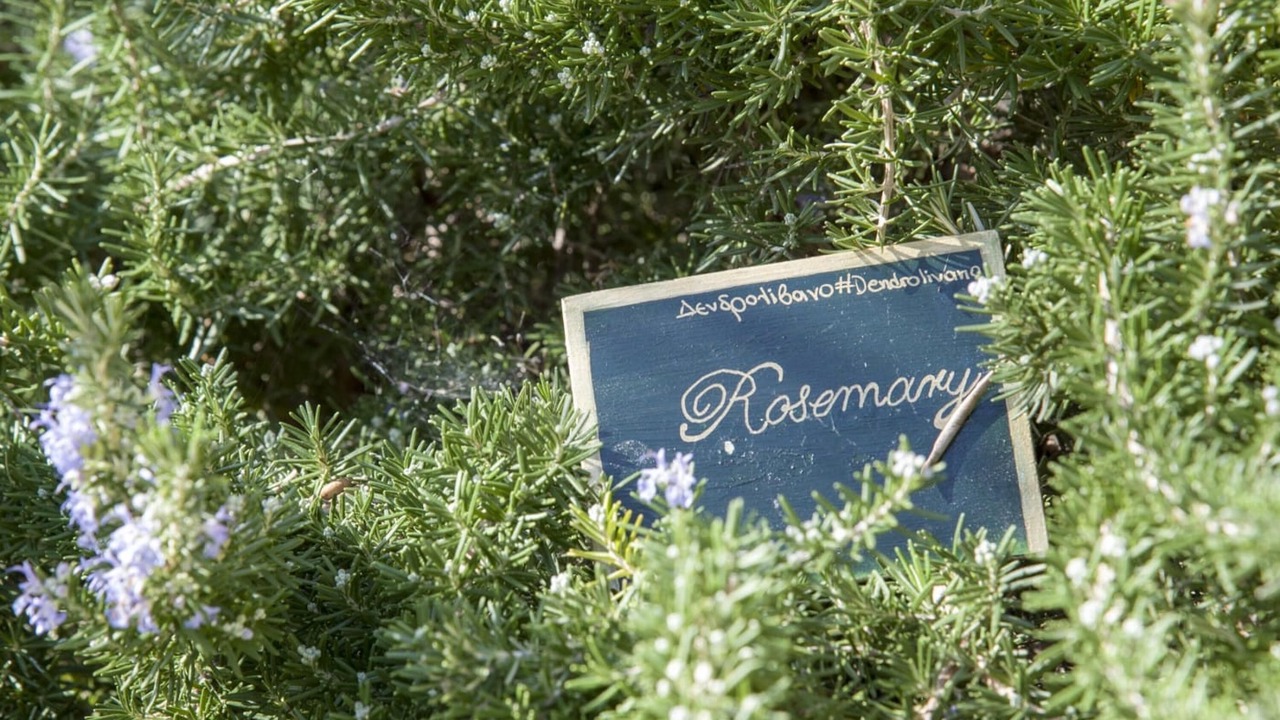 Photo of Outdoor in Kantanos-Selino