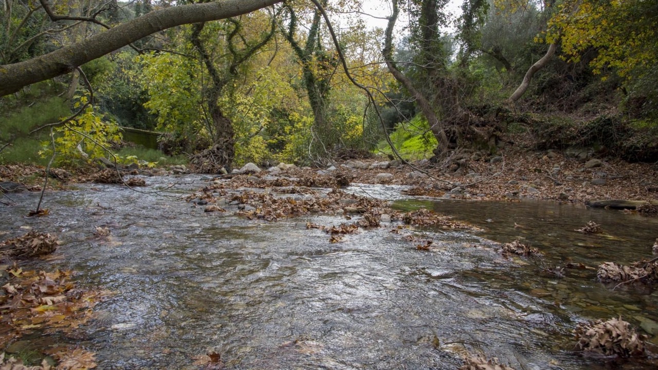 Photo of Others in Kantanos-Selino