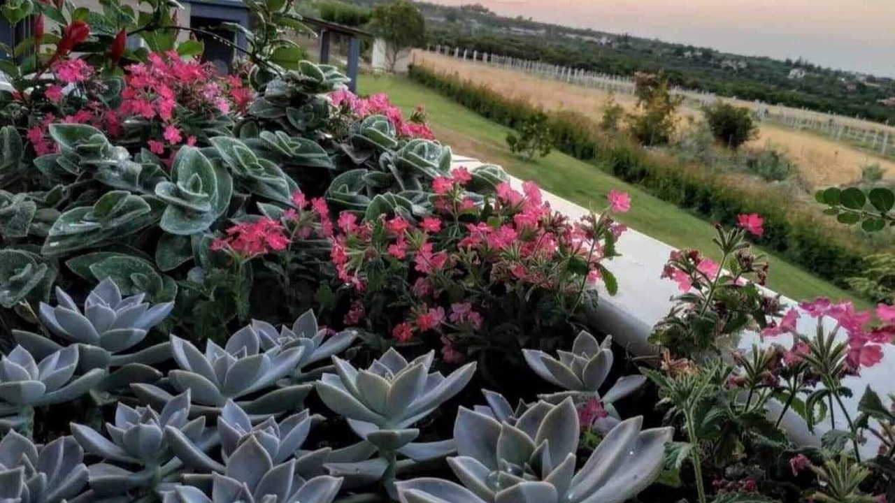 Photo of Outdoor in Litochoro