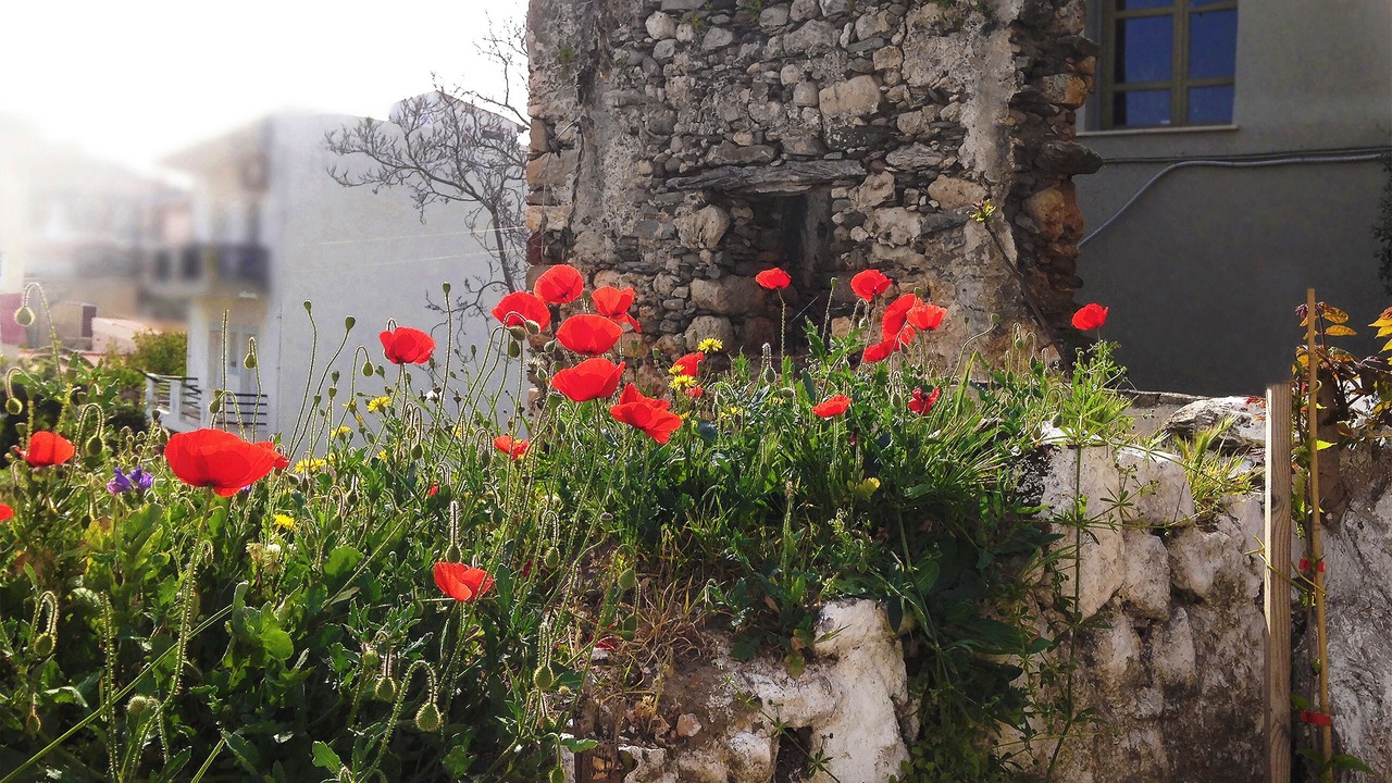 Photo of Outdoor in Roumeli