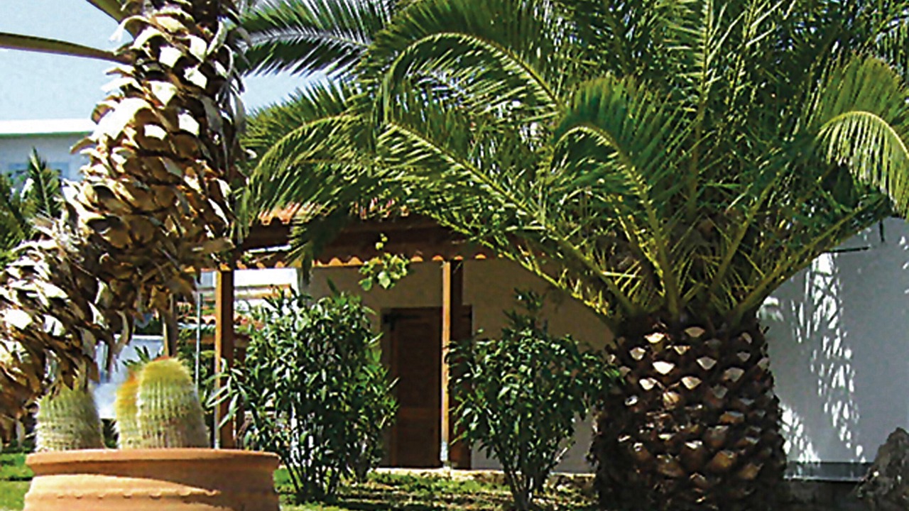Photo of Outdoor in Roumeli