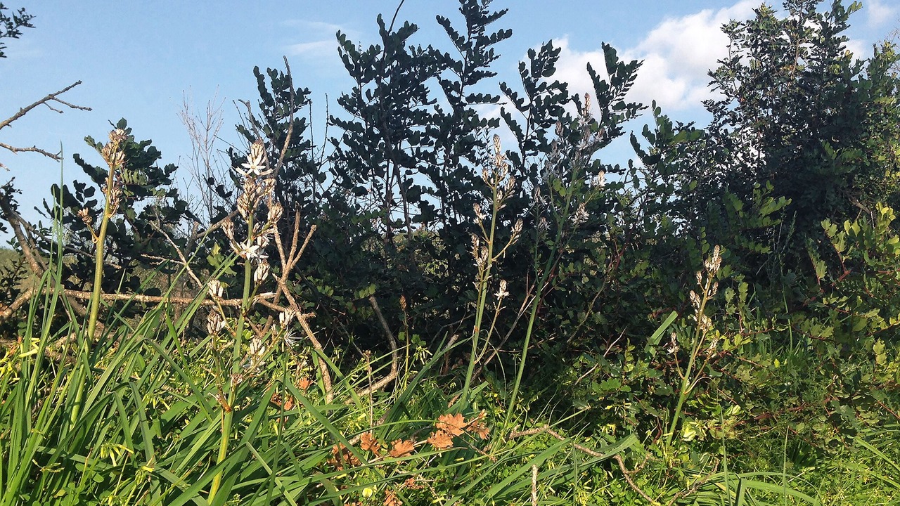 Photo of Outdoor in Roumeli