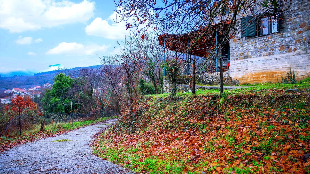 Photo of Outdoor in Terpsithea
