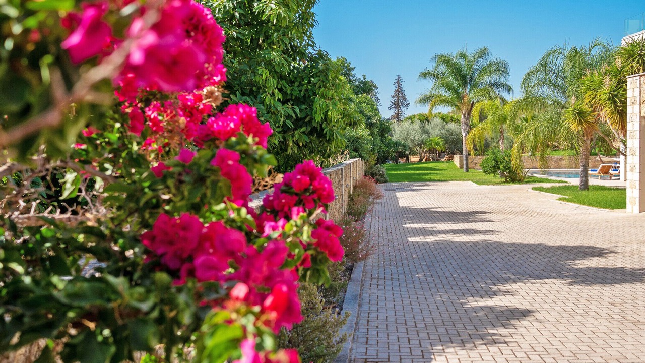 Photo of Outdoor in Souda