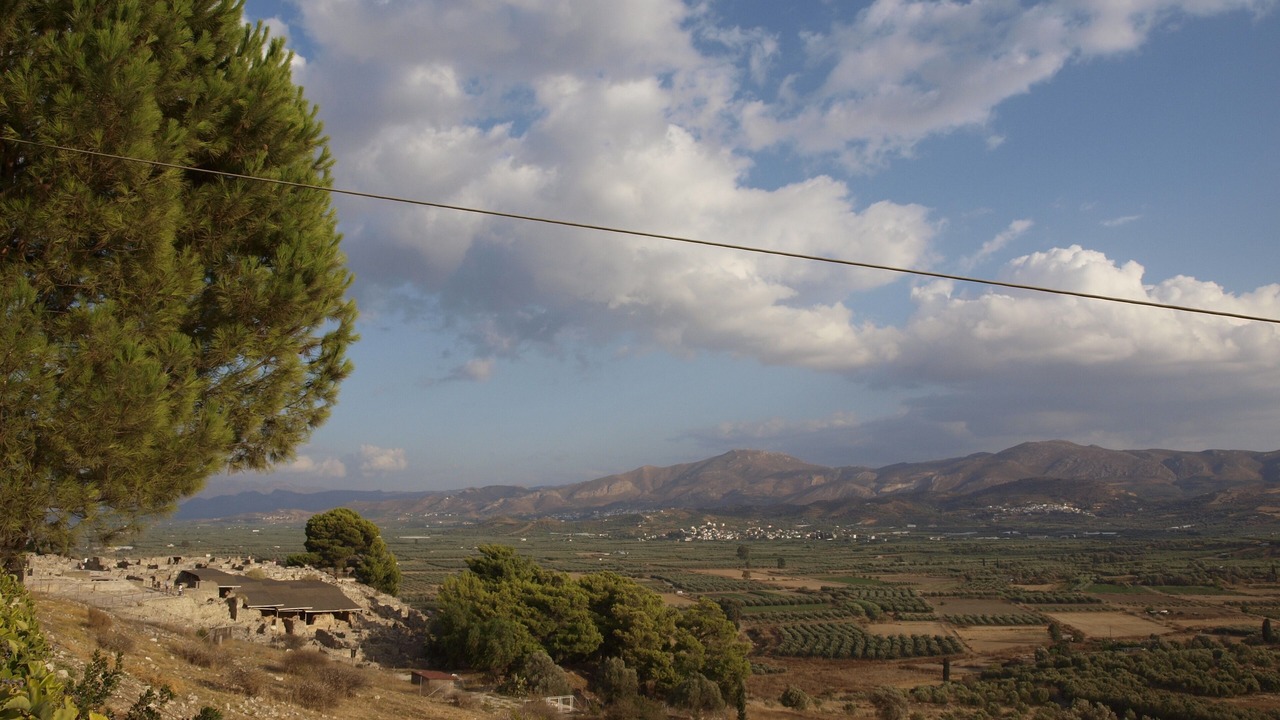 Photo of Others in Pitsidia