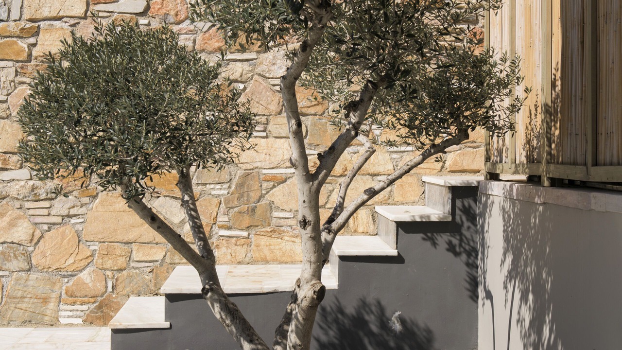 Photo of Outdoor in Lagonissi
