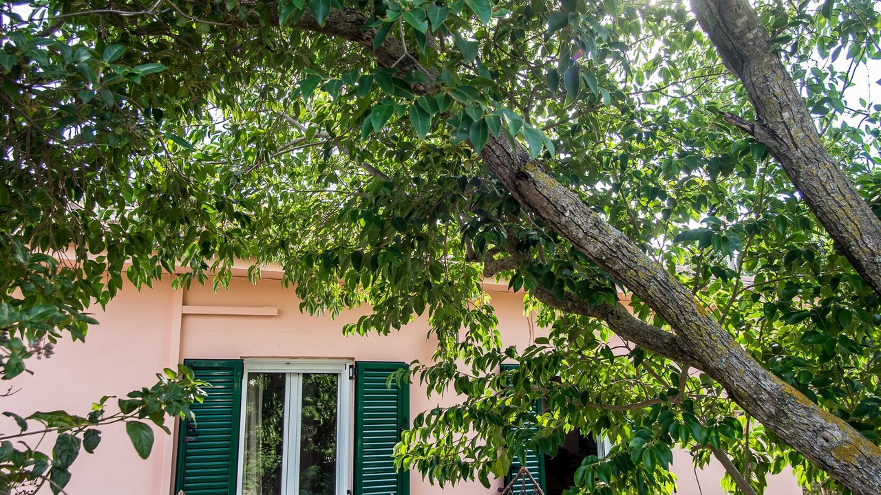 Photo of Patio Balcony in Lakithra