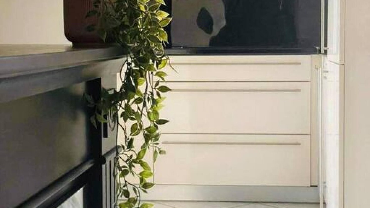 Photo of Others in Ioannina