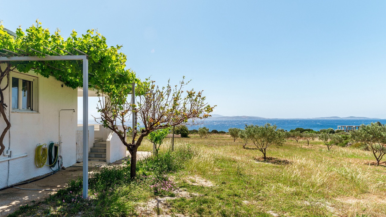 Photo of Outdoor in Naxos