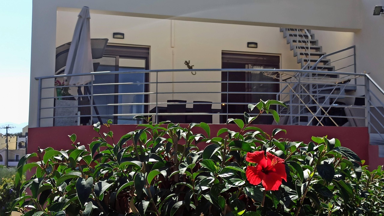 Photo of Outdoor in Vamos