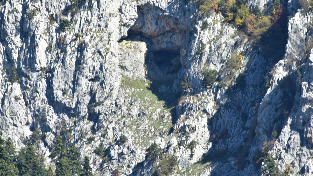 Photo of Others in Elati