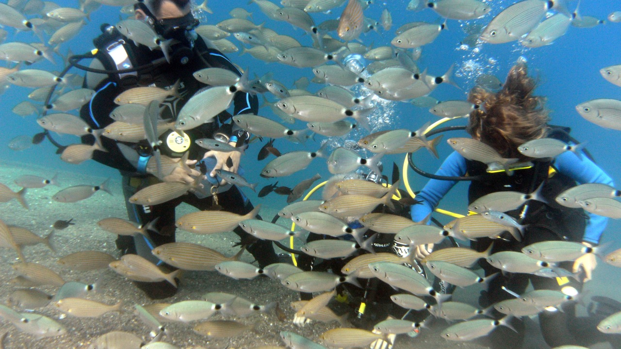Photo of Others in Psalidi