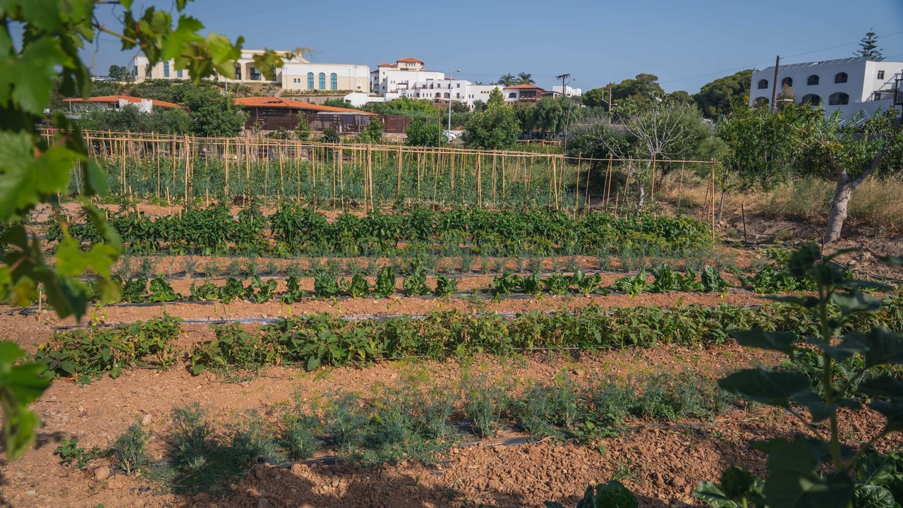Photo of Outdoor in Limenas Chersonisou