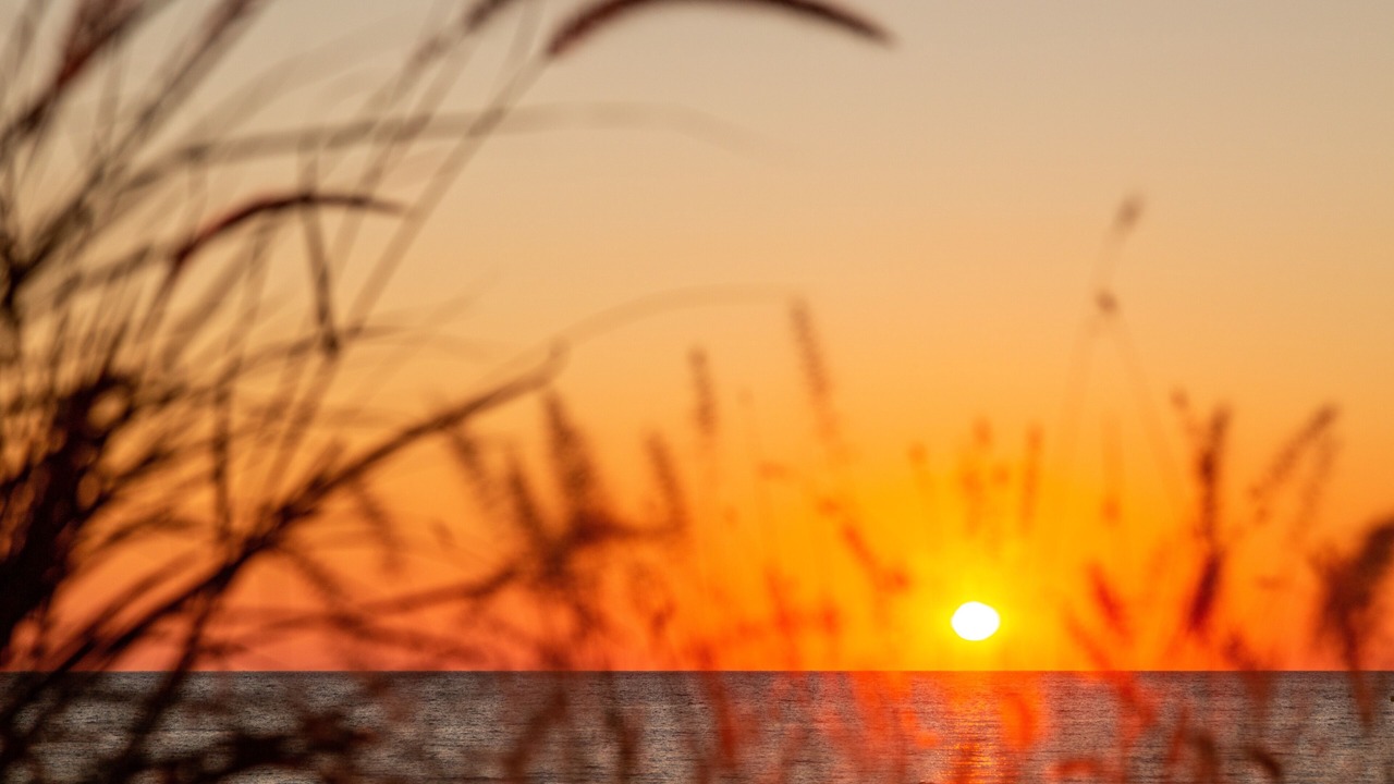 Photo of Outdoor in Glyfada
