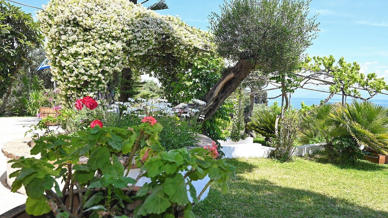 Photo of Outdoor in Benitses