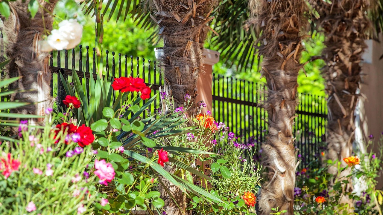 Photo of Outdoor in Olymbiaki Akti
