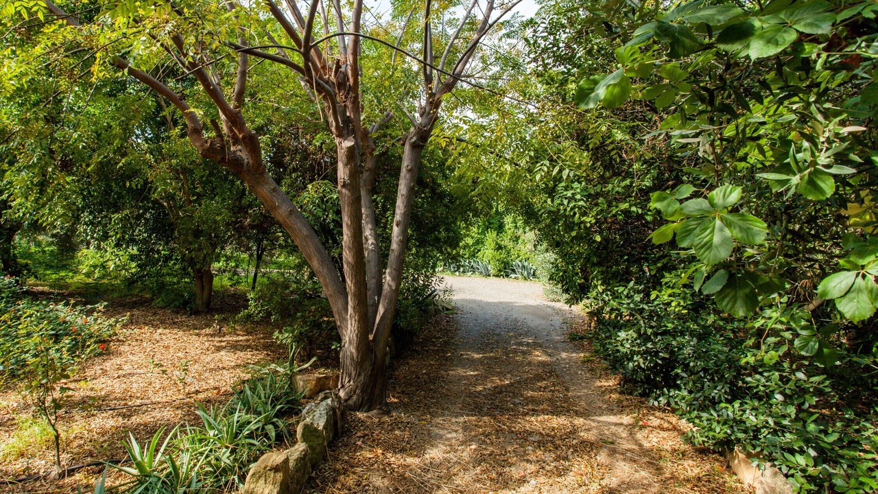 Photo of Outdoor in Pyrgos Psilonerou
