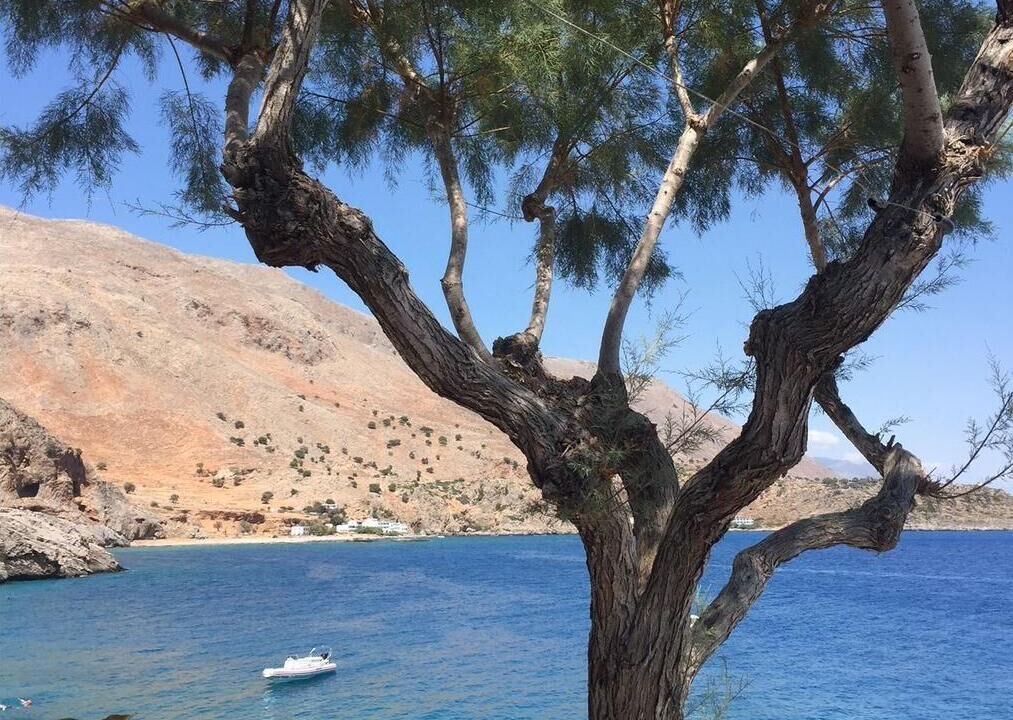 Photo of Outdoor in Loutro