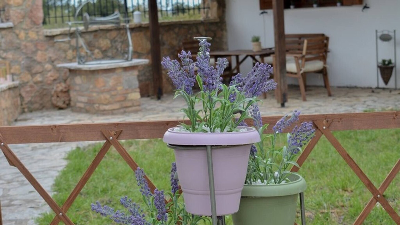 Photo of Outdoor in Oropos