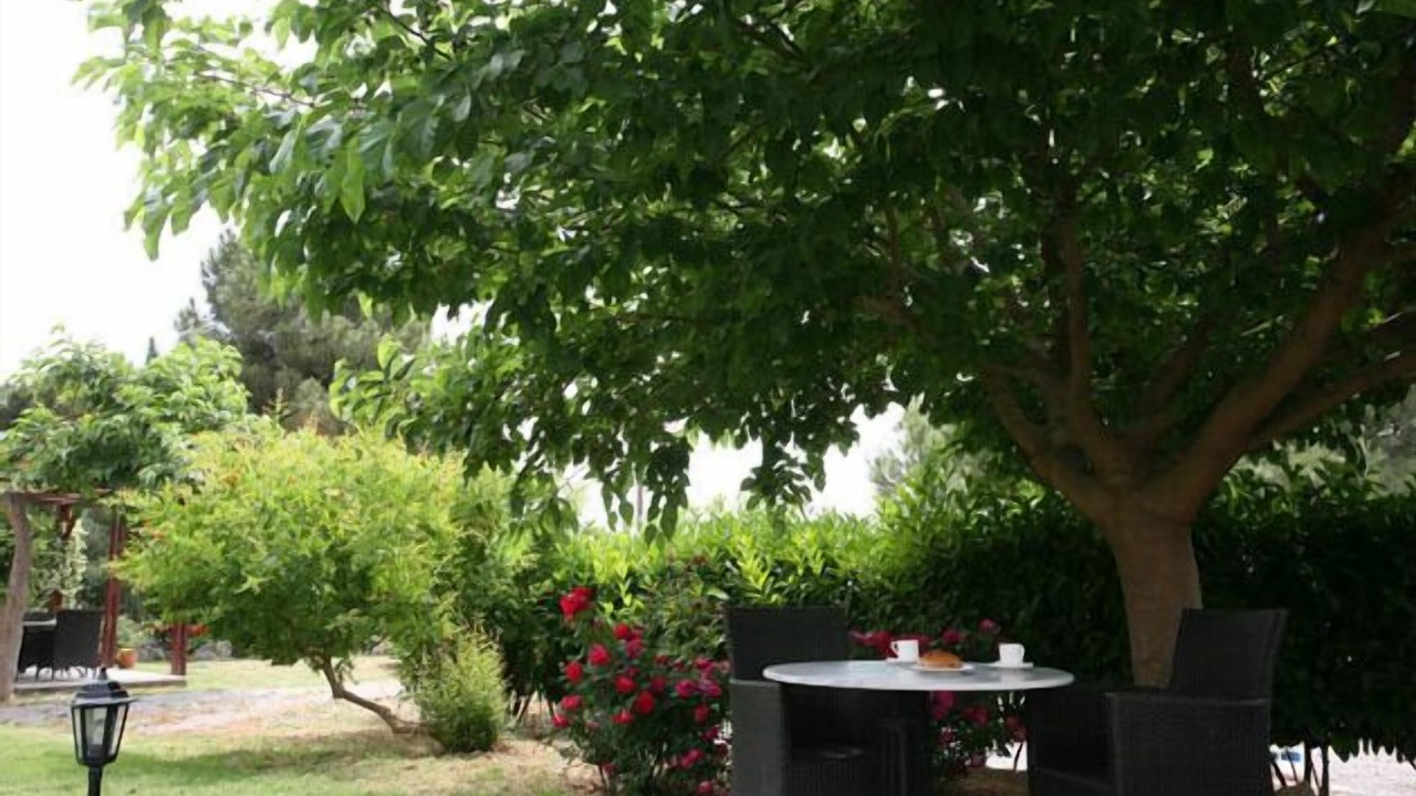 Photo of Outdoor in Mavrovouni