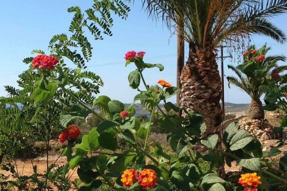 Photo of Patio Balcony in Kalathas