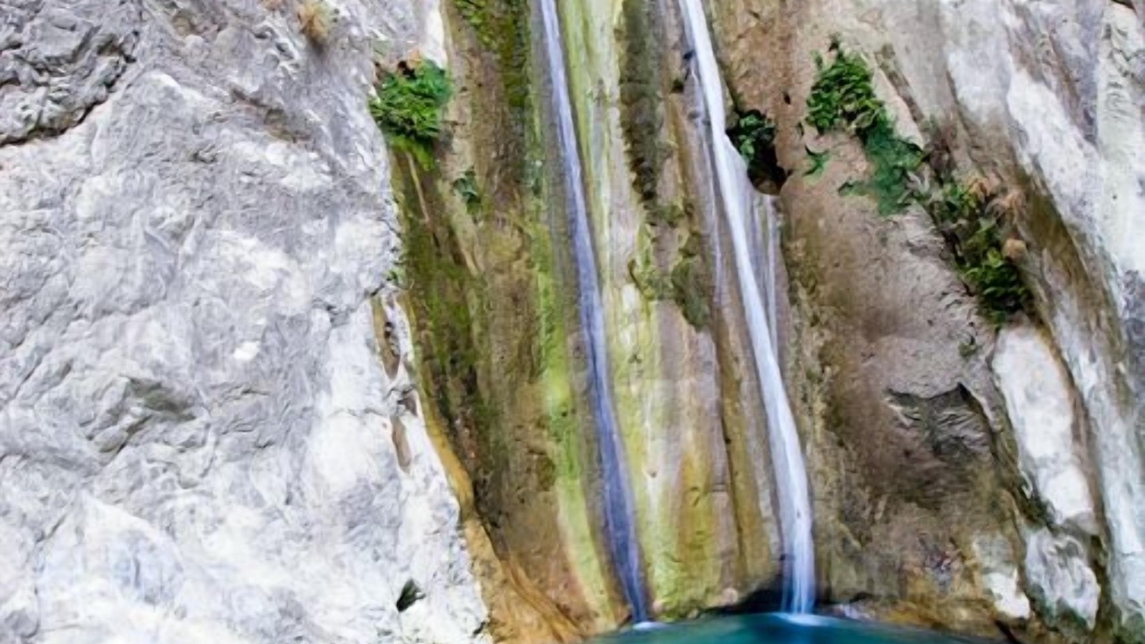 Photo of Others in Lygia