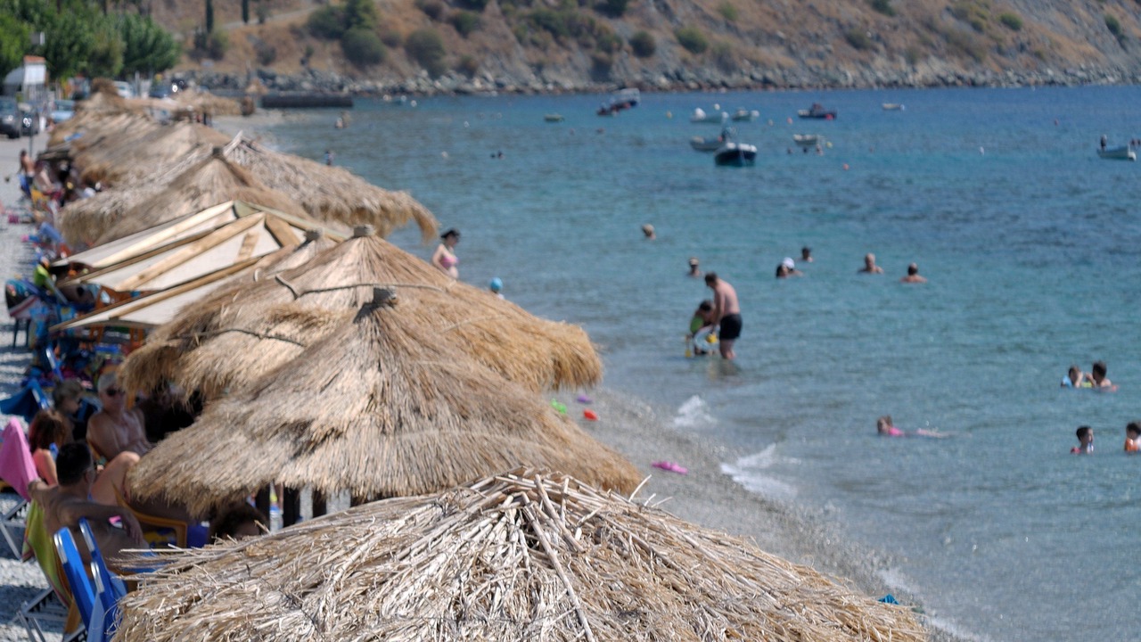 Photo of Others in Ilia