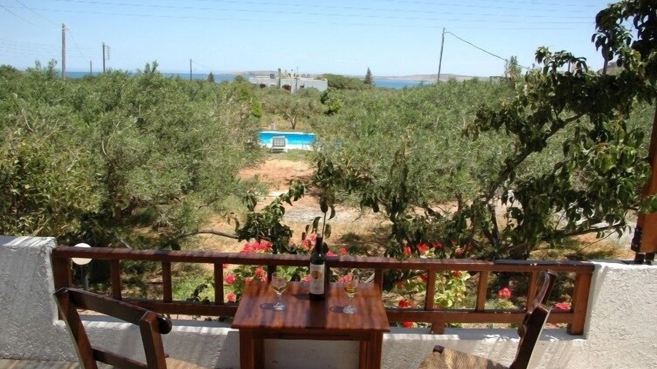 Photo of Others in Vigla