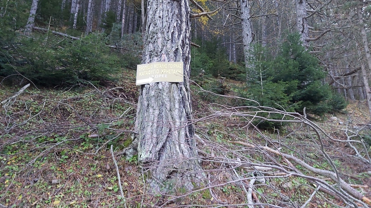 Photo of Outdoor in Agios Dimitrios