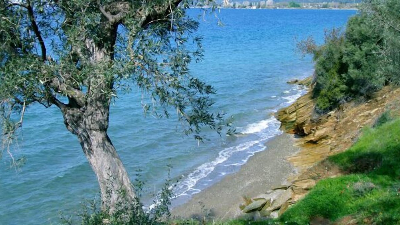 Photo of Others in South Pelion