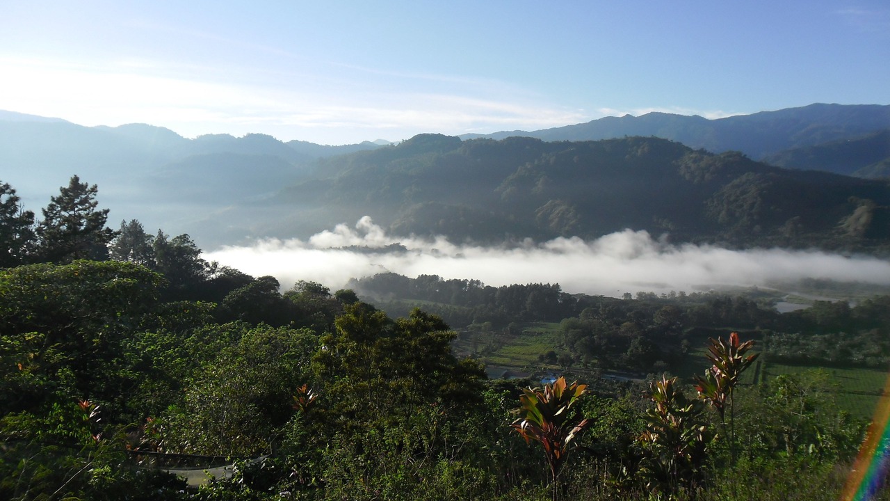 Photo of Others in Paraiso