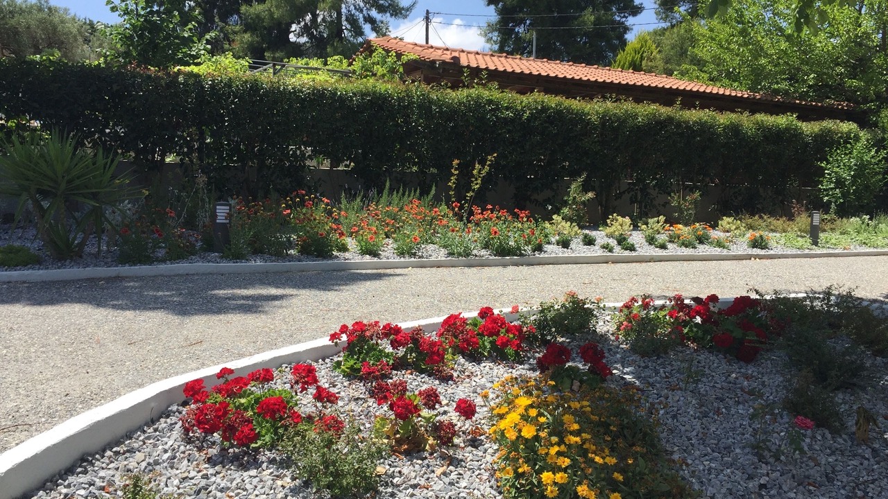 Photo of Outdoor in Kriopigi
