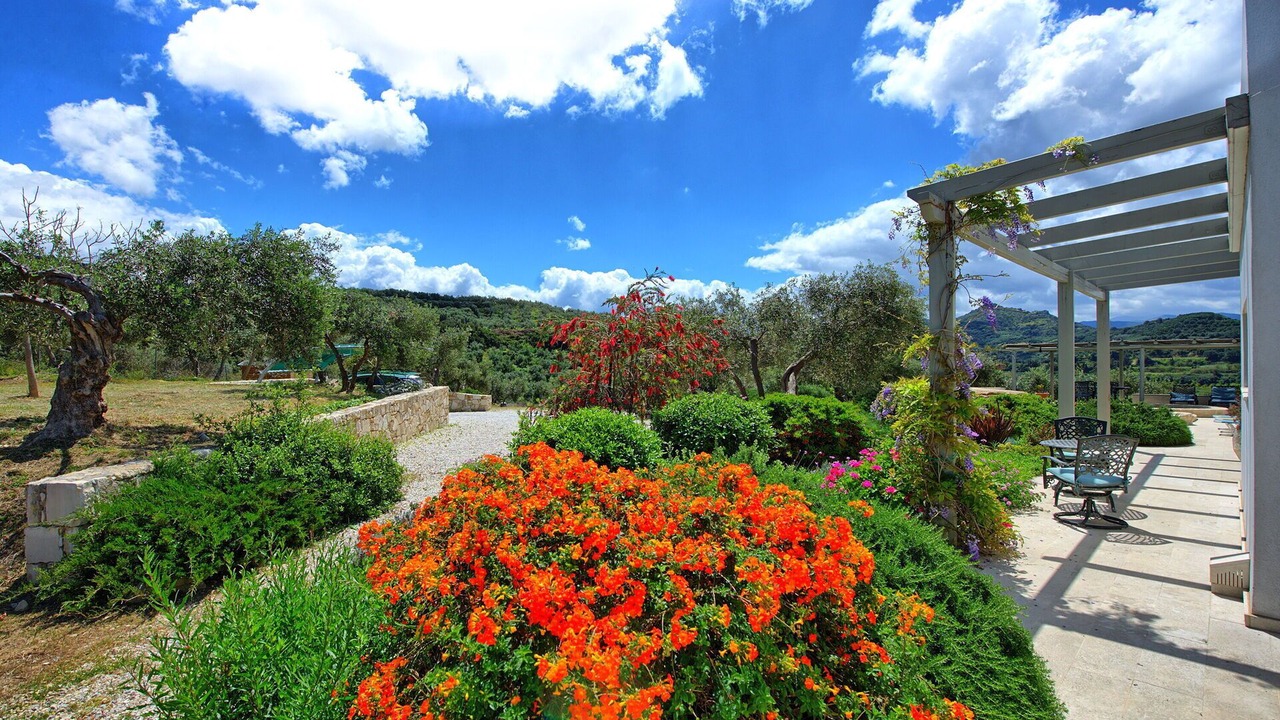 Photo of Outdoor in Platanias Town
