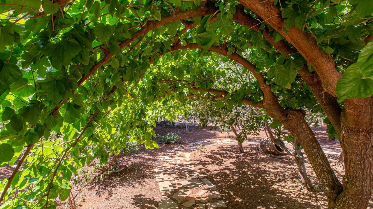 Photo of Outdoor in Pitharion
