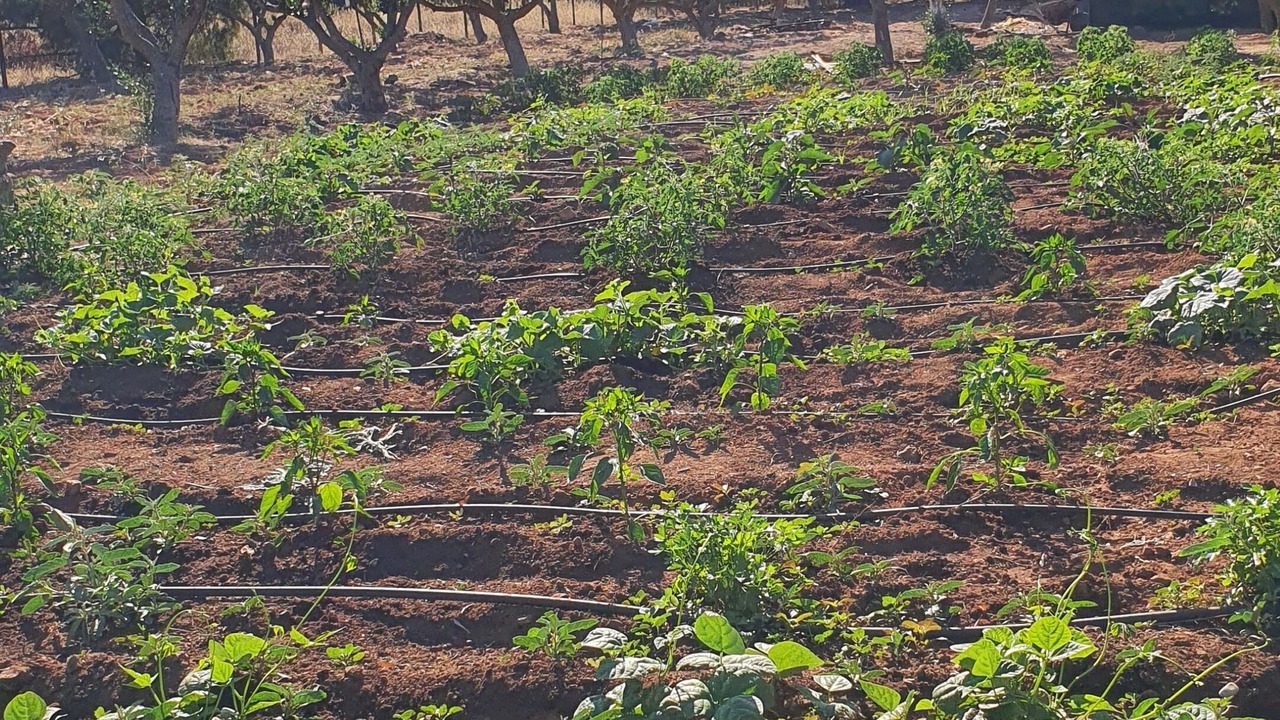 Photo of Outdoor in Palaia Fokaia