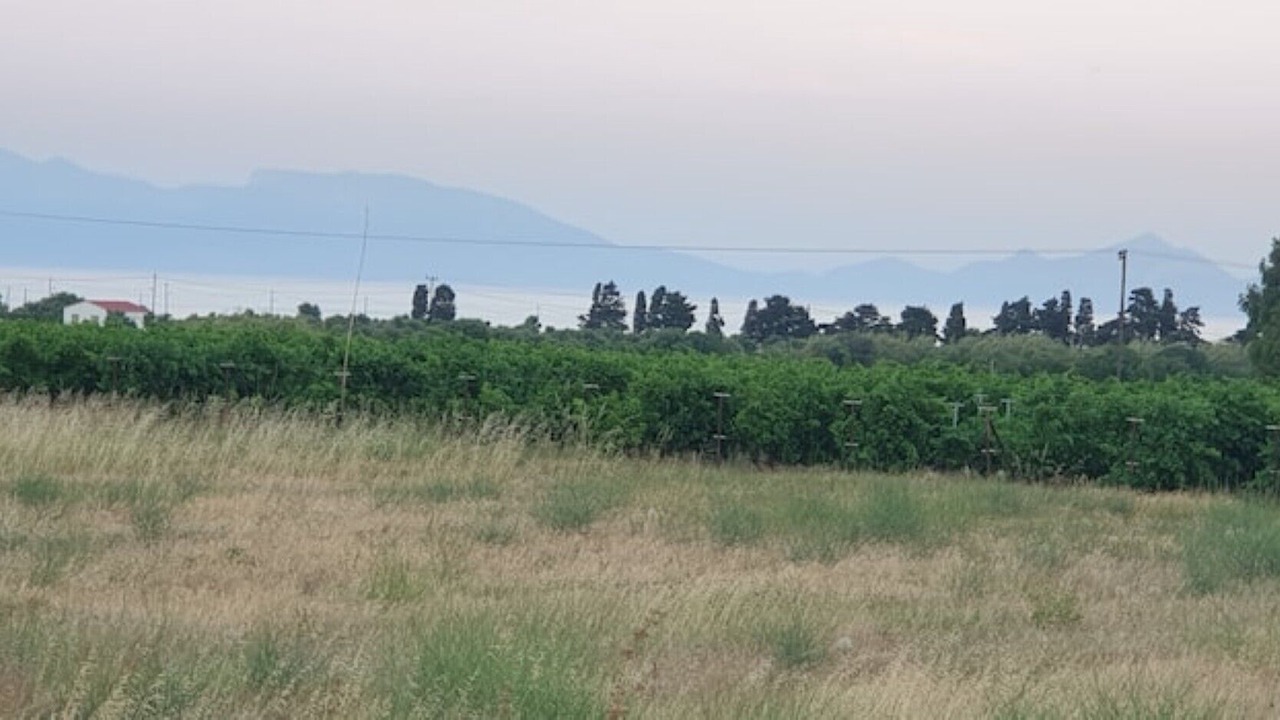 Photo of Outdoor in Kardamena