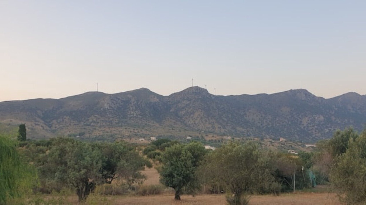 Photo of Others in Kardamena