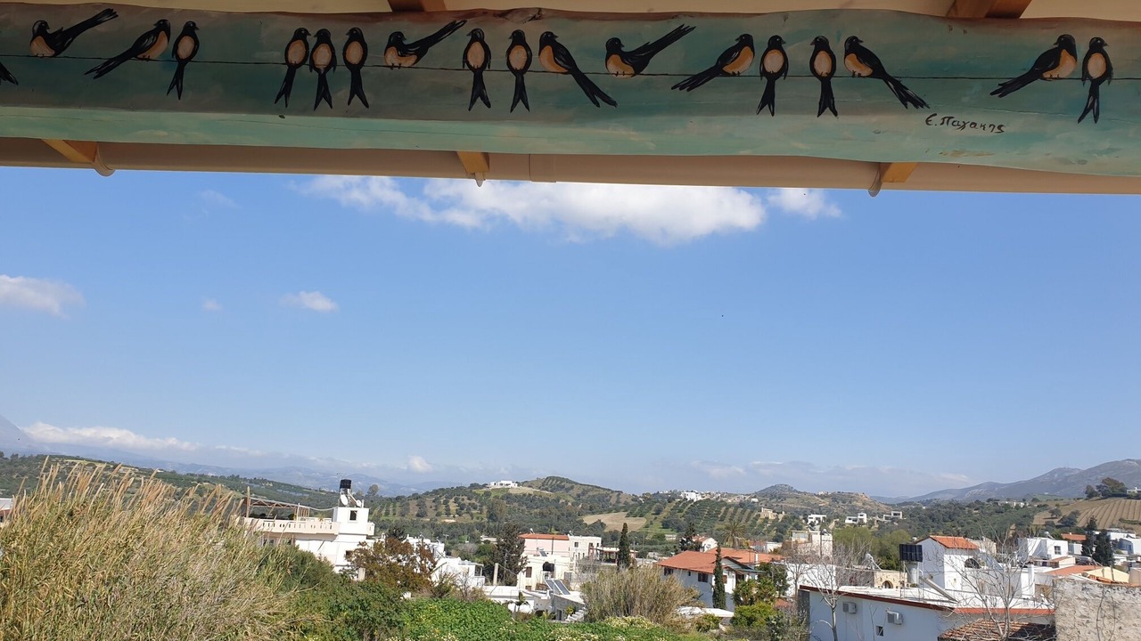 Photo of Others in Pitsidia
