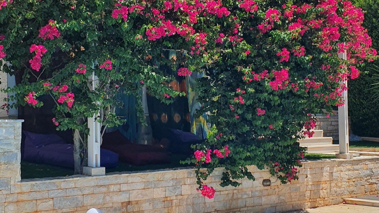 Photo of Outdoor in Anavyssos