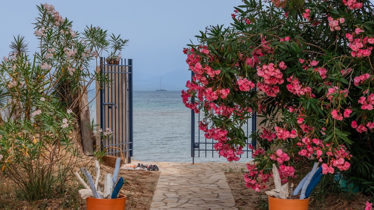 Photo of Outdoor in Molos