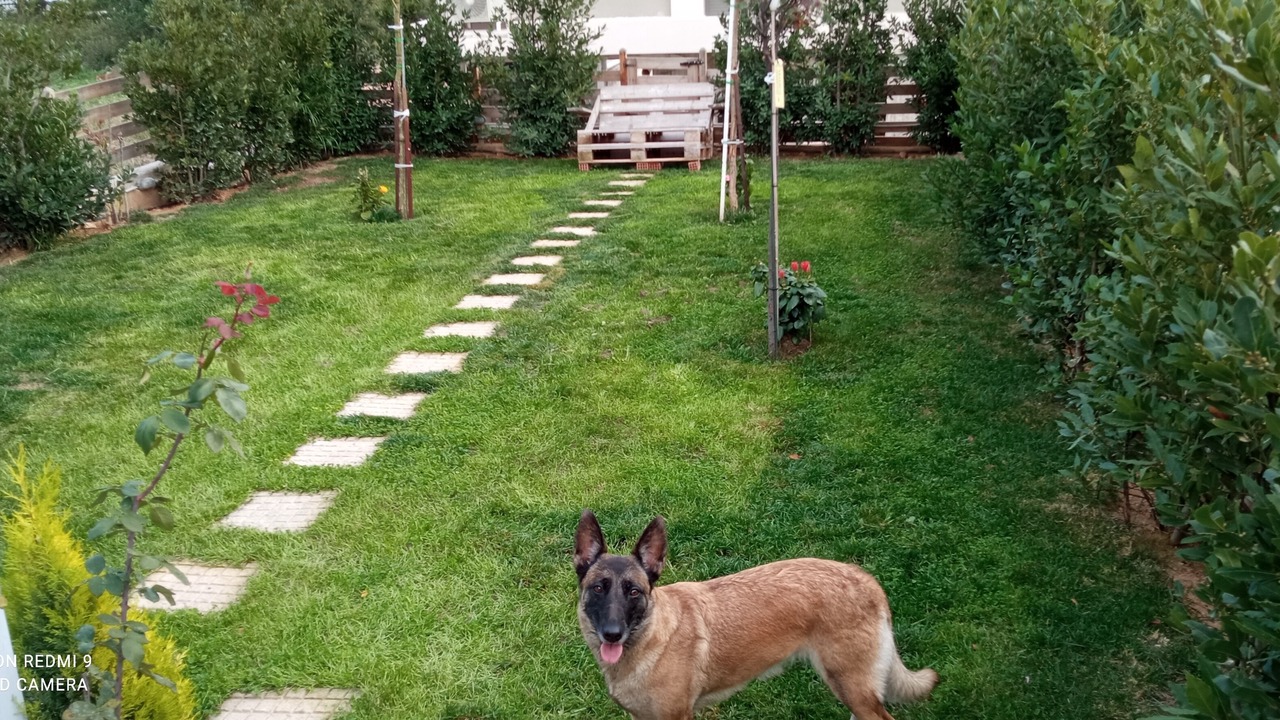 Photo of Outdoor in Saronikos